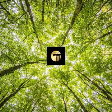 GFI - Investissement forestier GFI - Investissement forestier